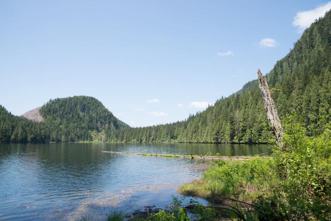 View of lake surrounded by trees