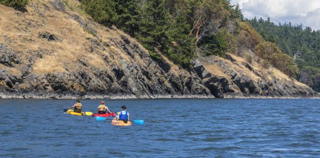 Three paddlers in red, orange and yellow sit-on kayaks paddle offshore of sandstone and treed land