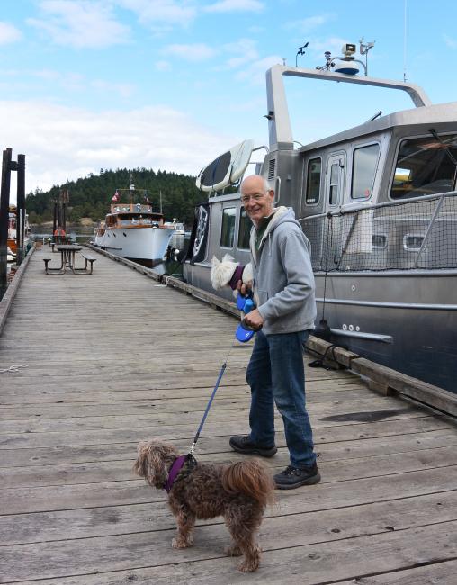 A man in a gray sweatshirt walks a brown dog on a leash down a dock with boats.