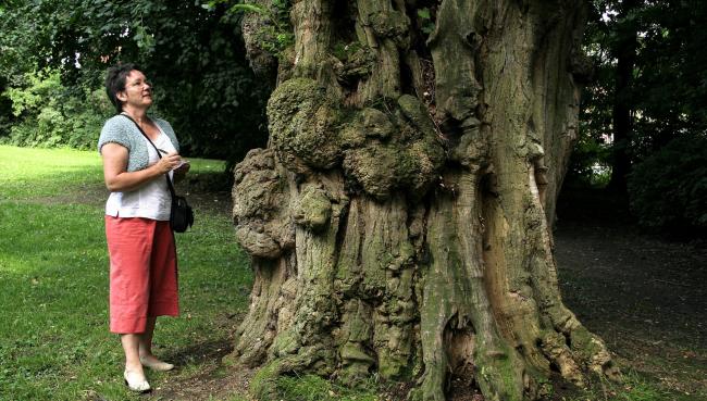 A knotted tree trunk and woman in orange capris and white shirt with notepad
