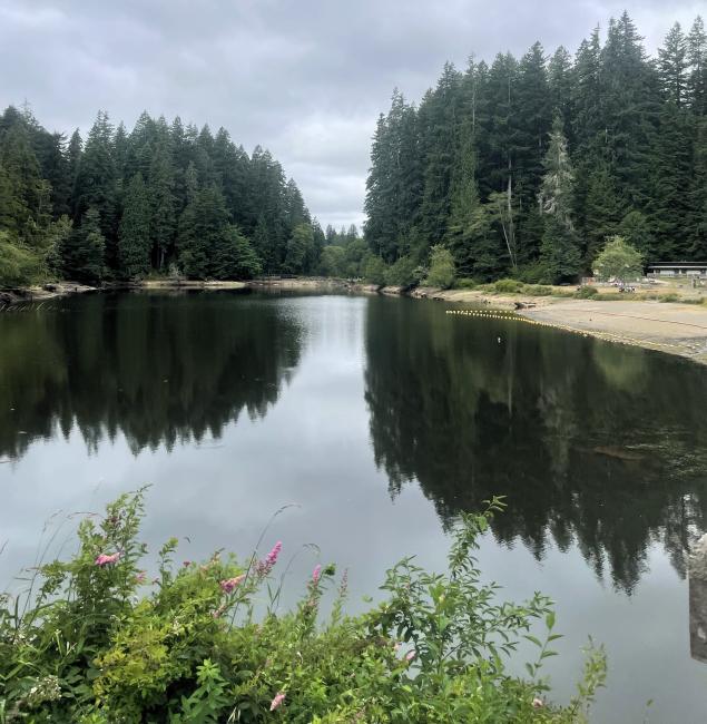 Glassy lake water on an overcast day with tall evergreen trees surrounding the water. A small, sandy beach is to the right.