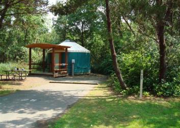 Grayland Beach Yurt with trees and parking pad