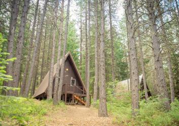 A-Framed Cabin surrounded by tall pine trees with wooded trail leading to front door