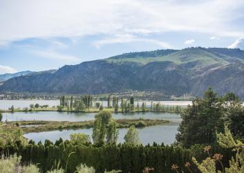 The Columbia River flows beyond trees with a tall mountain rising in the background.