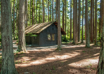 Kitsap Memorial Cabin Exterior in trees