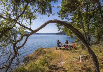 Image of visitors picnicking along the shoreline. In the background you can see trees with green leaves, blue water, and the hills and trees on the other side of the water. There is a curved tree in the foreground framing the two people having a picnic. 