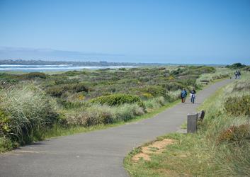 The ADA trail along the beach at Westport Lighthouse State Park.