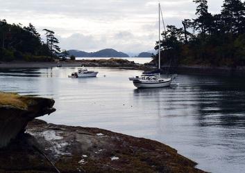 Personal watercraft anchored in the cove. Two white watercraft are clearly visible and a third is just barely visible along the shoreline. The cove is encircled by rocky shoreline and trees. The rock is orangish-brown but due to the lighting in the picture, it is hard to make out much detail. 