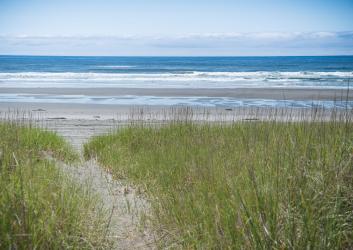 Twin Harbors dunes grassy trail to ocean beach