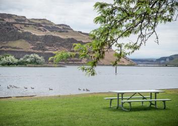 Ducks swim in the swim area and a picnic table sits on the green lawn. The rocky hillside is seen in the background.