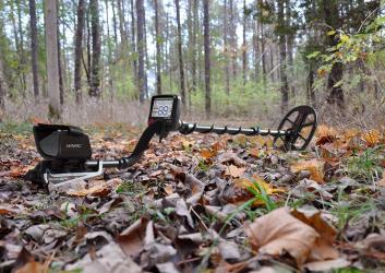 Metal detector in the woods.