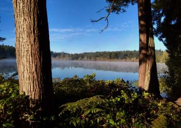 Lake at Millersylvania.