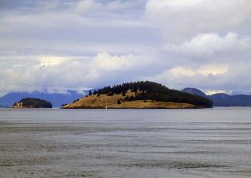 A view of Jones Island from across grey waters. The island has brown grass with trees starting midway up the left side of the hill and covering the top and all the right side of the island.