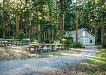 The light green Event Barn with white trim sits at the end of a gravel road surrounded by tall evergreen trees and picnic tables.