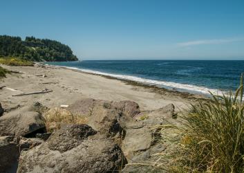 A view over rocks at the sandy beach with seaweed at the water's edge of the Strait of Juan de Fuca with a blue sky and treed hillside to the left.