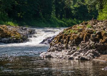 A low, shimmering waterfall flows past basalt rock covered in moss. Thick forest can be seen in the background.