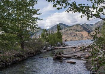 Stream with log jam with mountains in background