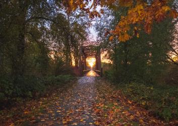 A trail running through an old railroad bridge surrounded by brilliant fall foliage and a spectacular gold, pink and blue sunset. 