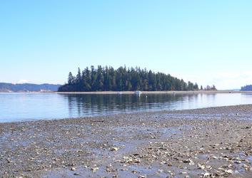 Pine-covered McMicken Island rises above it's reflection in glassy waters. A shoreline spans the distance under a blue sky. A rocky beach with shallow puddles is in the foreground.