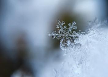 Close up view of a crystal snowflake standing out on top of a pile of snow. The background is blurry and mottled. Photograph by Aaron Burden.