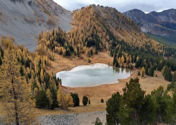 Yellow larches and evergreen trees in a valley with a small lake