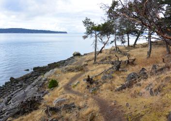 A trail winds through a meadow on a bluff above a beach with an island in the background.