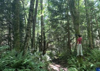 A woman stands on a platform in a forest, checking equipment.