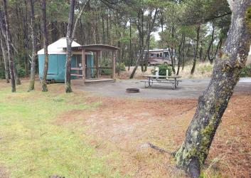 yurt and motor home in forest of small trees