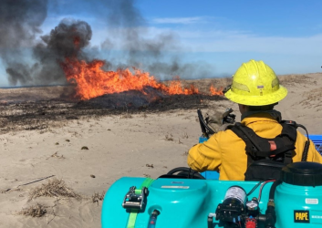 Firefighter wtaches fire from a prescribed burn on a beach dune.