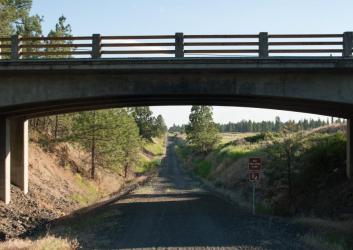 gravel surface trail passing beneath bridge