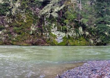 gravel beach with trees on shoreline