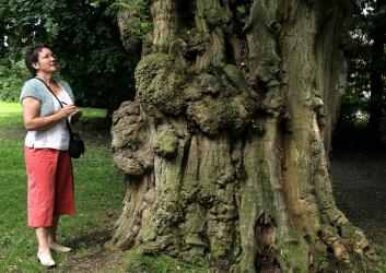 A knotted tree trunk and woman in orange capris and white shirt with notepad