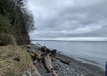 A rocky beach with a pile of driftwood and a treed hillside to the left. Across the water, land jets out meeting the grey, cloudy sky