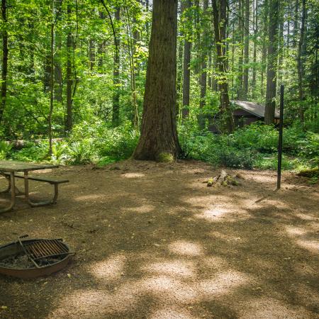 A standard campsite including a fire pit and picnic table at Battle Ground Lake State Park.