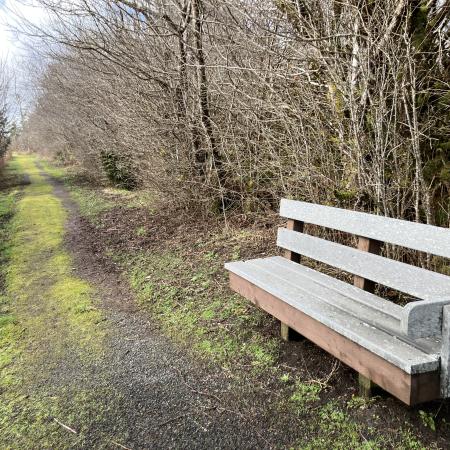 A bench along a trail at Bottle Beach State Park.