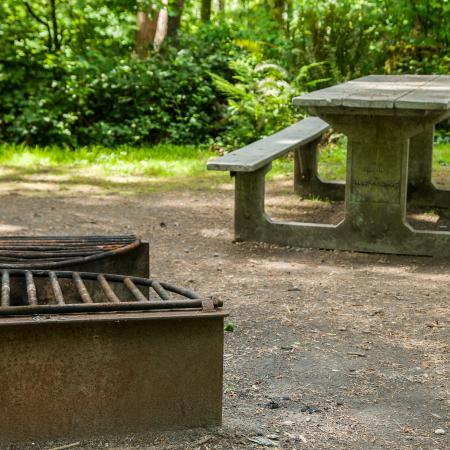A bench and firepit in a campsite at Dash Point State Park.
