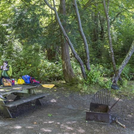 Standard campsite with a bench at Hope Island State Park.