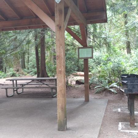 round beam wood picnic shelter with BBQ grill surrounded by woods