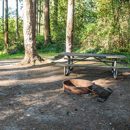 A fire pit and picnic table in a primitive site at Joemma Beach State Park.