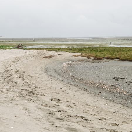 expansive view of beach and marsh with footsteps in the sand