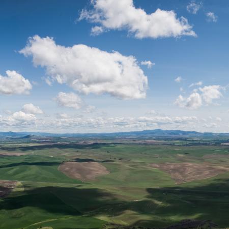 Panoramic view of the Palouse wheat fields from atop Steptoe Butte. 