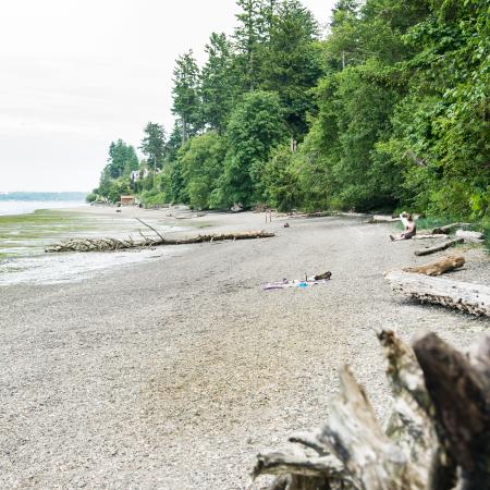 Sandy beach with lots of driftwood washed up on it takes up the majority of the photo. The right side of the photo is forested and all of the trees have bright green leaves. The water connecting the beach to the forest looks like it may have algae or other green plant life cover. In the far distance there is a small building, but it may be on private land. There is a pink and purple beach towel in the center of the photo with a water bottle and a femme presenting person and child sitting on driftwood.