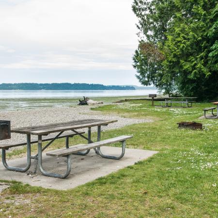 Three picnic tables on concrete pads with are visible with two grills and a fire pit. The concrete pads are separated out by green grass and border a rocky beach which is to the right.  Some type fo green plant life is floating o the visible water and in the far distance additional forested land mass can be seen. There are some trees on the right side of the photo that  have bright green leaves. 