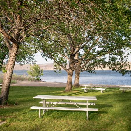 Four picnic tables underneath shade trees. Sandy beach next o Columbia River.