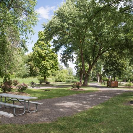 Empty campsites in the shade with picnic tables and fire ring underneath green leafy trees. Flowery bushes provide a great landscape between campsites.