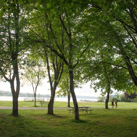 Grassy area with lush deciduous trees, picnic tables, and a paved walking path in sight. Lake Sammamish is visible in the midground, with a limited view of Tibbets beach.  