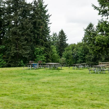 Picnic ara with multiple picnic tables and grills. The grass is green and the trees in the background are lush and green. 