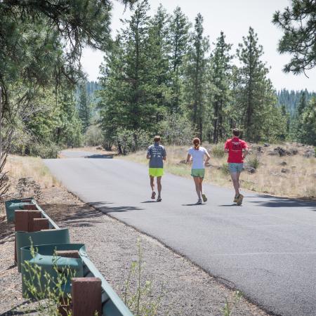 Three joggers run in the sunshine along a paved road through trees and a rocky field.