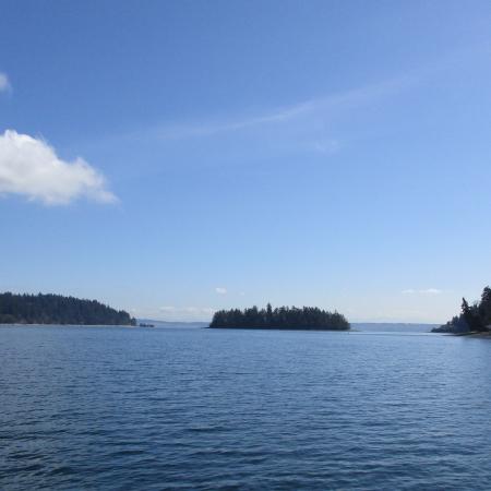 Eagle Island full view pudget sound