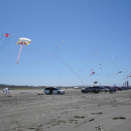 Grayland Beach kite flying driving on beach 